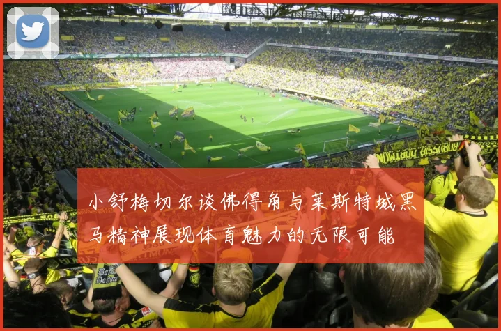 小舒梅切尔谈佛得角与莱斯特城黑马精神展现体育魅力的无限可能
